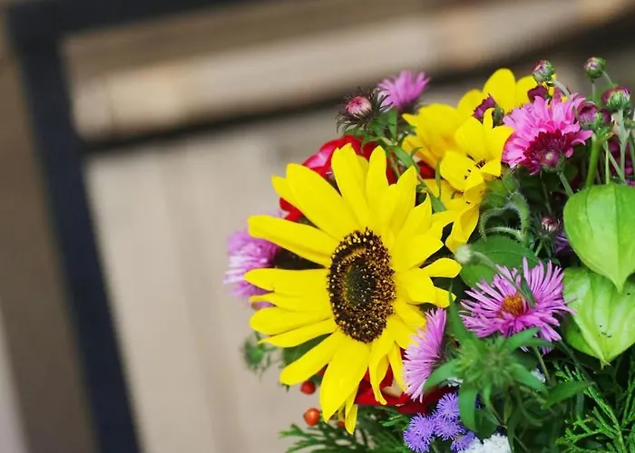 아파트 Ekskluzywny W Centrum Z Balkonem I Parkingiem